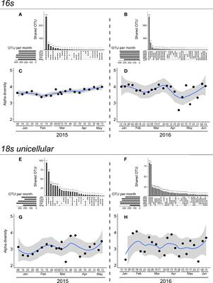 Microbial Diversity in a North Western Mediterranean Sea Shallow Coastal Lagoon Under Contrasting Water Temperature Conditions